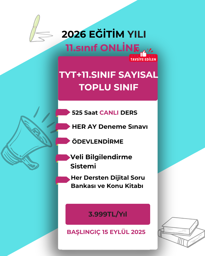2026 11. SINIF SAYISAL 